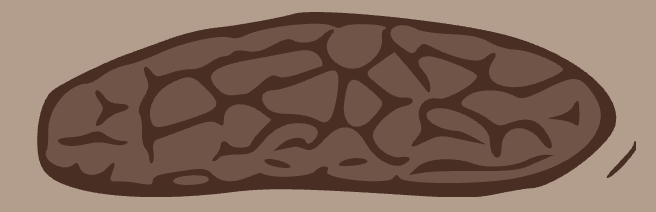 Like a sausage but with cracks on its surface.