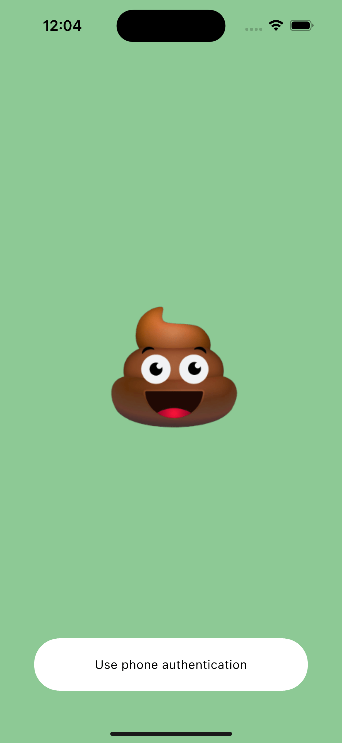 Lock screen shown on app startup