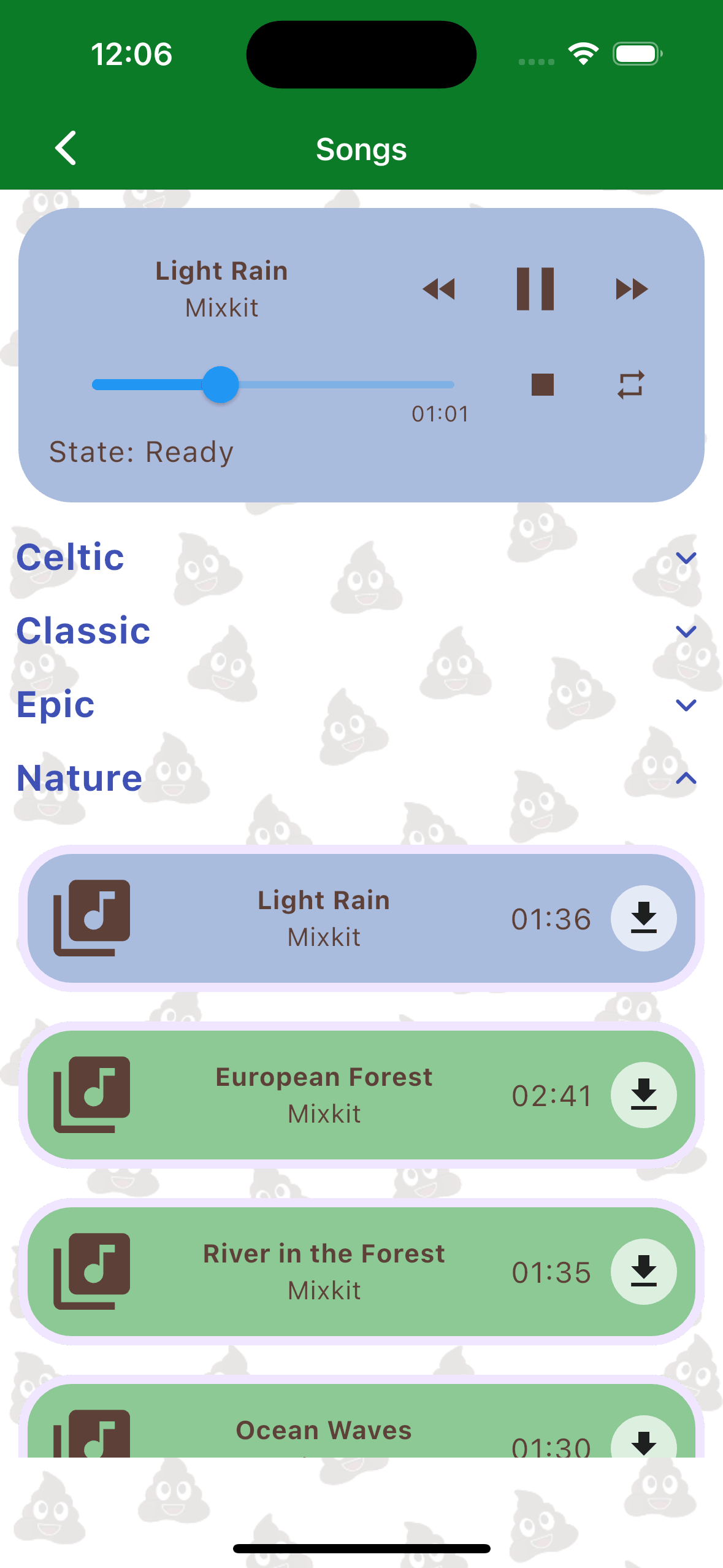 The audio player interface